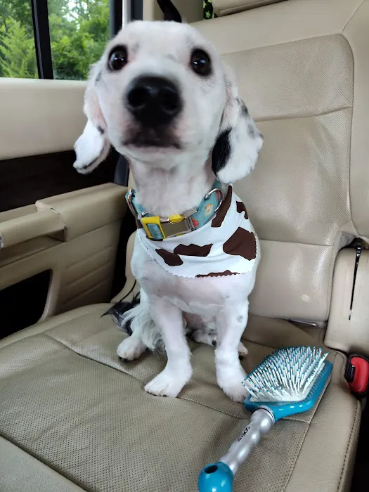 Jackson County Animal Hospital Picture 4