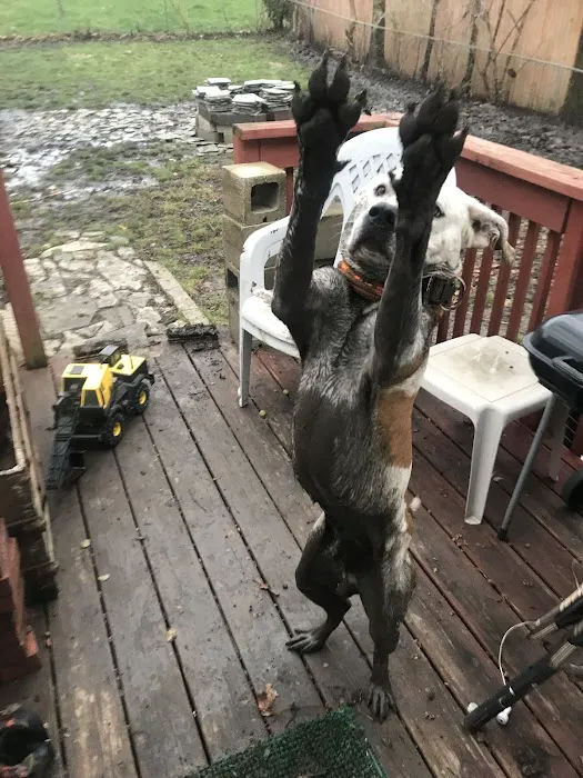 Jackson County Animal Hospital Picture 6