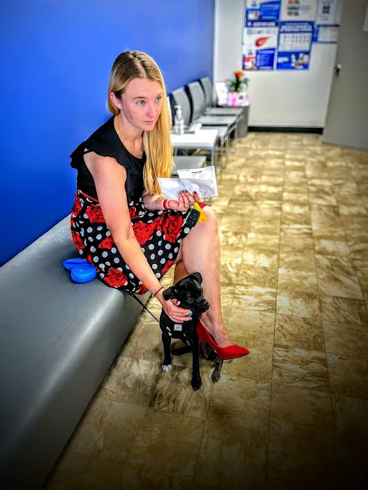 Jackson County Animal Hospital Picture 5