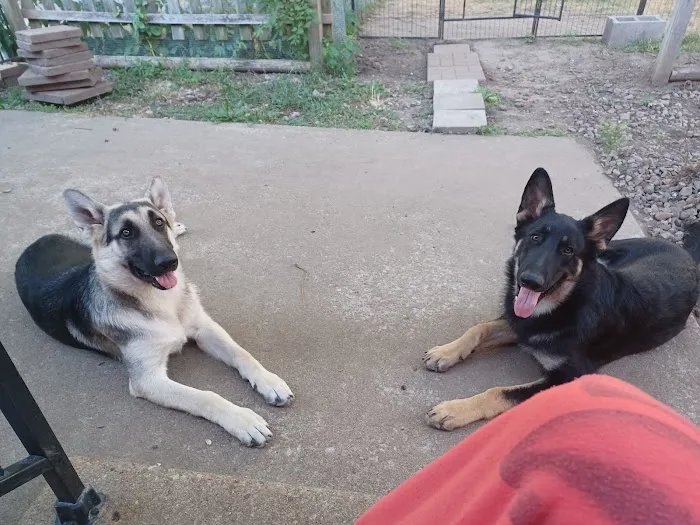 Jackson County Animal Hospital Picture 9