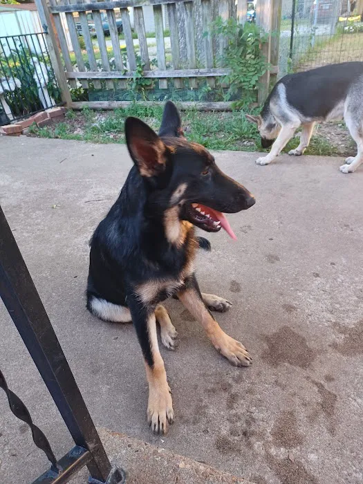 Jackson County Animal Hospital Picture 10