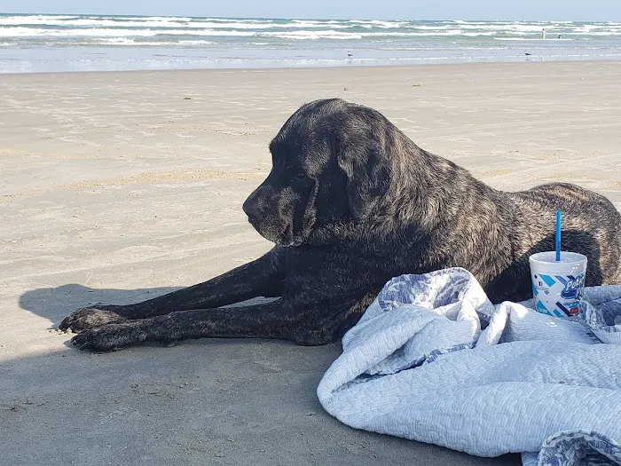 Jackson County Animal Hospital Picture 8