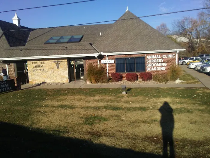 Buckaloo G W DVM Picture 1