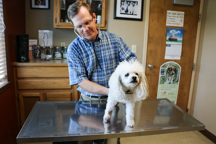 Crysler Animal Hospital Picture 4