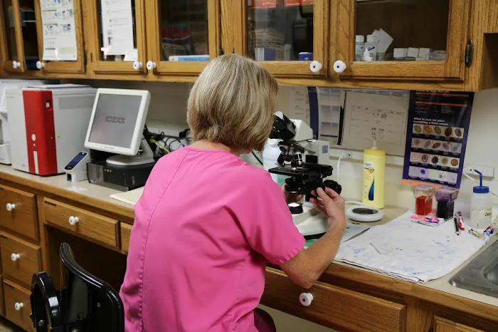 Crysler Animal Hospital Picture 10