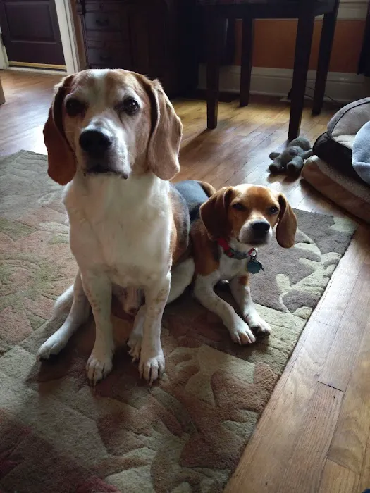 Three Trails Animal Hospital Picture 1