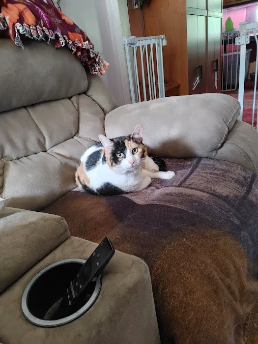 Three Trails Animal Hospital Picture 3