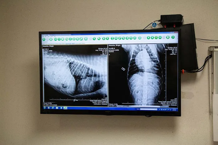 Three Trails Animal Hospital Picture 5
