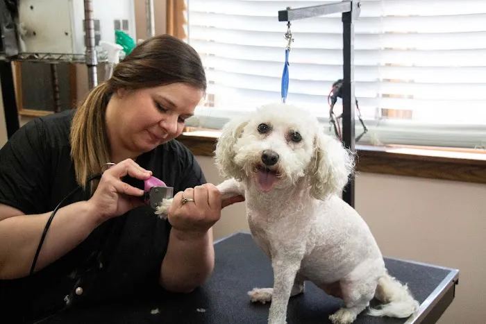 Three Trails Animal Hospital Picture 6