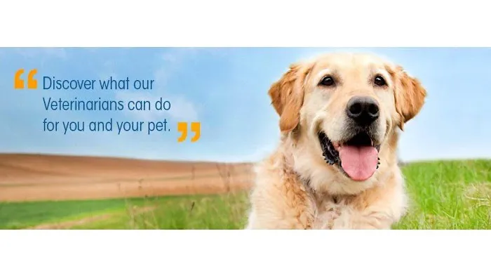 Three Trails Animal Hospital Picture 9