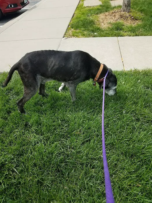 Three Trails Animal Hospital Picture 7