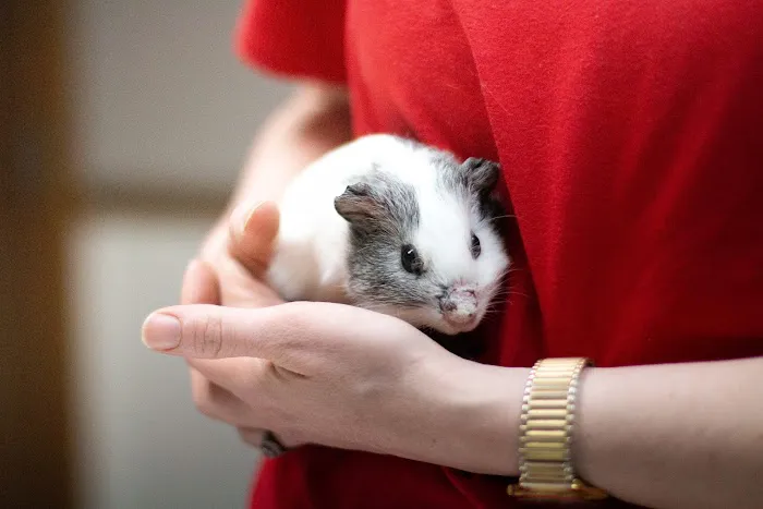 Three Trails Animal Hospital Picture 8