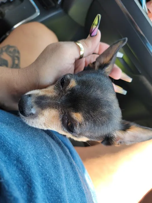 Independence Animal Hospital Picture 2