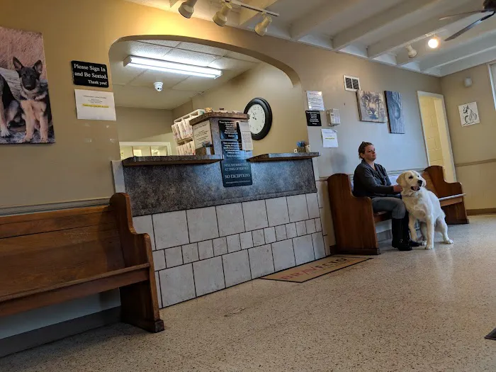 Independence Animal Hospital Picture 9