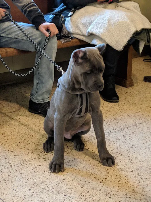 Independence Animal Hospital Picture 8