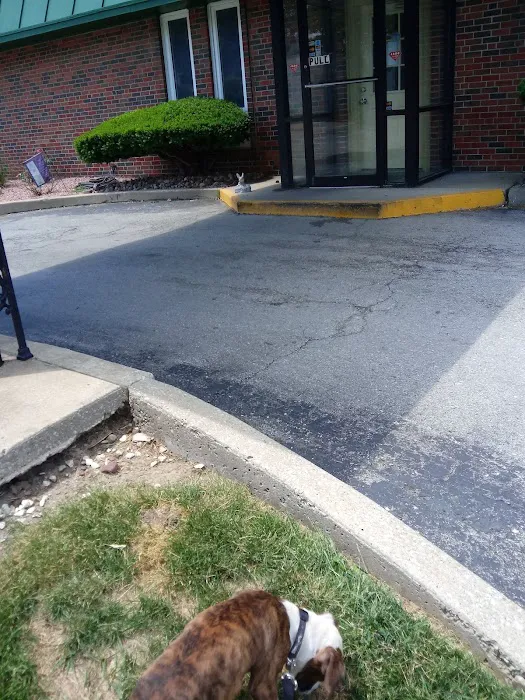 Independence Animal Hospital Picture 7