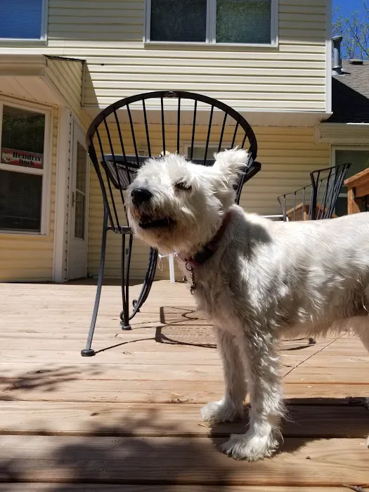 Blue Ridge Plaza Animal Clinic Picture 7