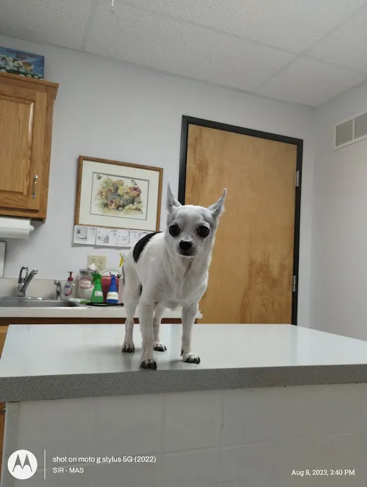 Animal Clinic of Susquehanna Picture 6