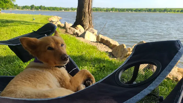 Animal Clinic of Susquehanna Picture 10