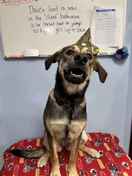 Farview Veterinary Hospital Picture 3