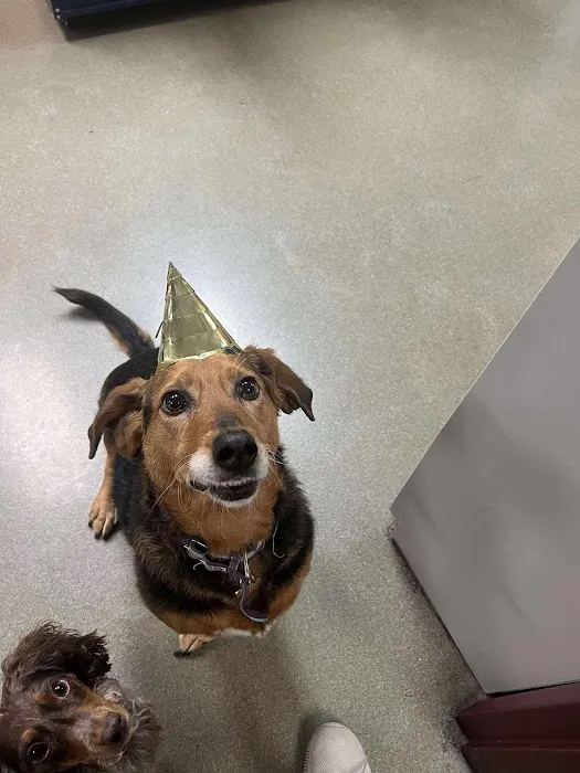 Farview Veterinary Hospital Picture 5