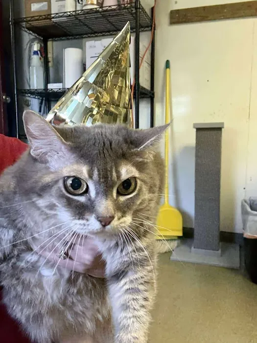 Farview Veterinary Hospital Picture 2