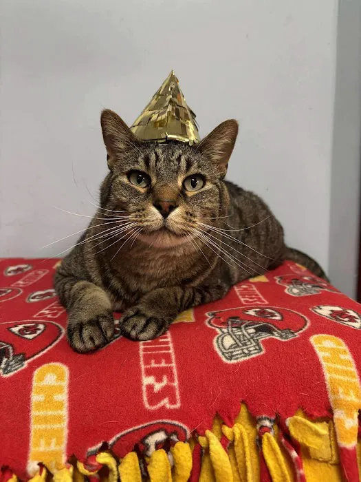 Farview Veterinary Hospital Picture 4