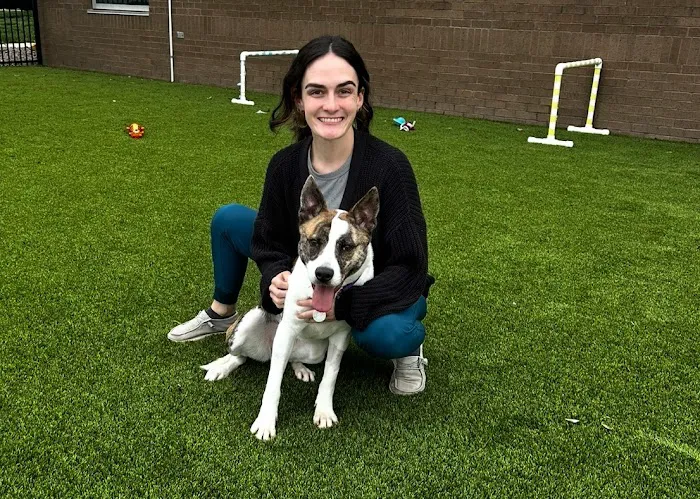 Farview Veterinary Hospital Picture 9