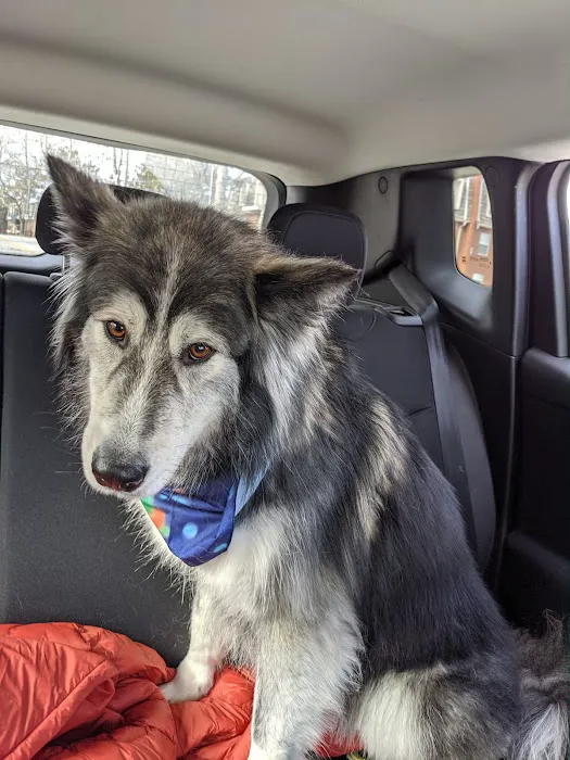 Farview Veterinary Hospital Picture 8