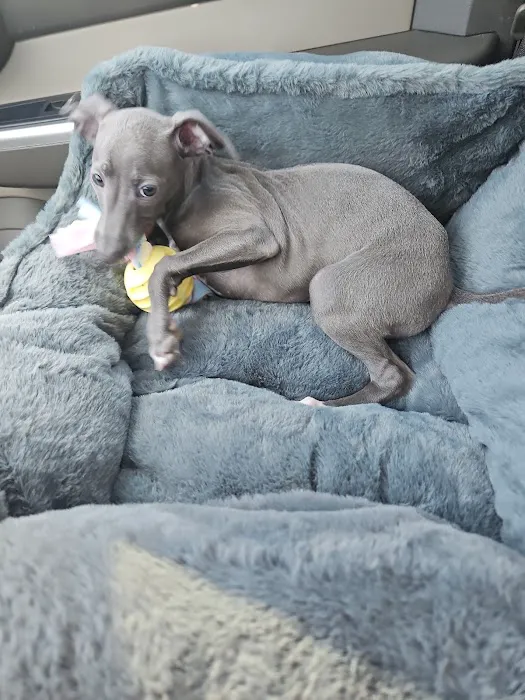 Southport Animal Hospital Picture 1