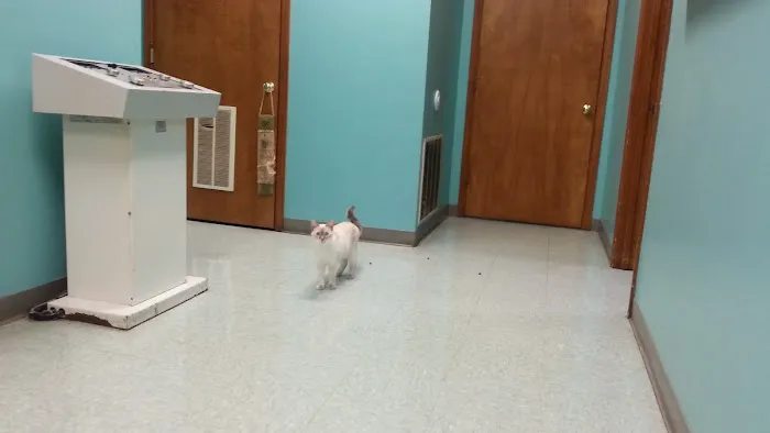 Southport Animal Hospital Picture 3