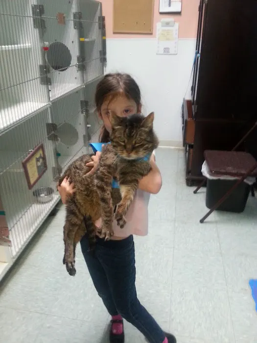 Southport Animal Hospital Picture 6