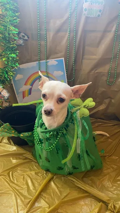 Green Summit Animal Clinic Picture 2