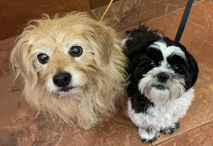 Green Summit Animal Clinic Picture 10