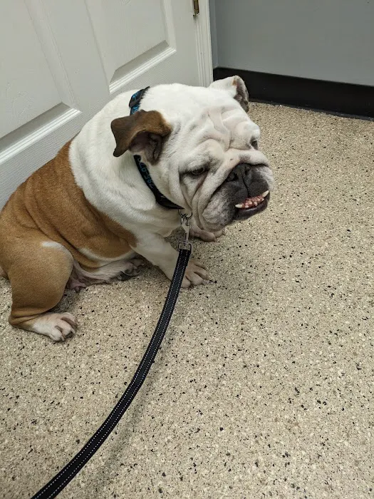 Kennedy's Animal Clinic Picture 3