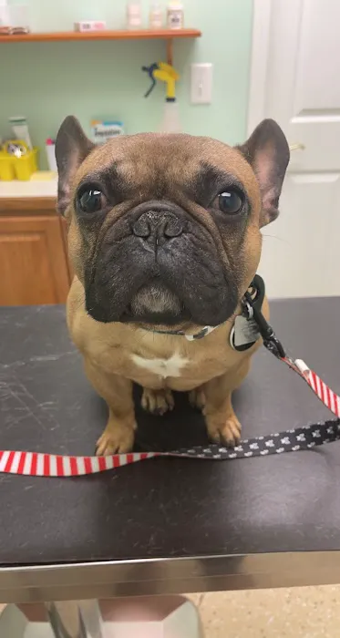 Kennedy's Animal Clinic Picture 9