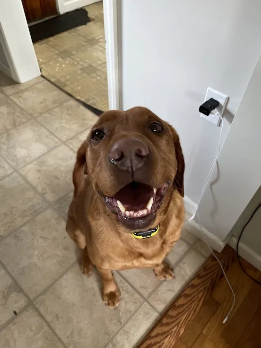 Kennedy's Animal Clinic Picture 8