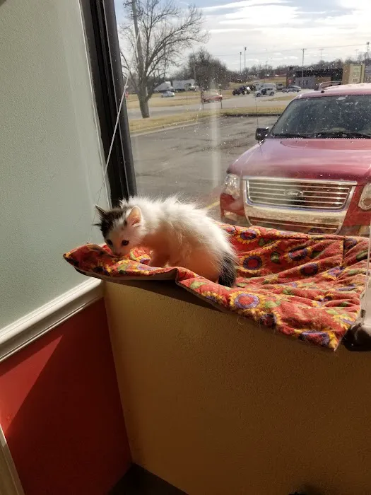 Kennedy's Animal Clinic Picture 10