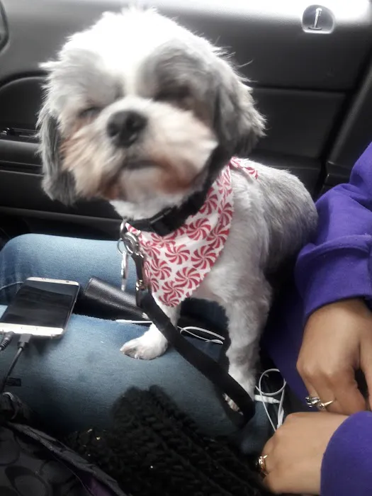 Raytown-Gregory Animal Health Center Picture 9