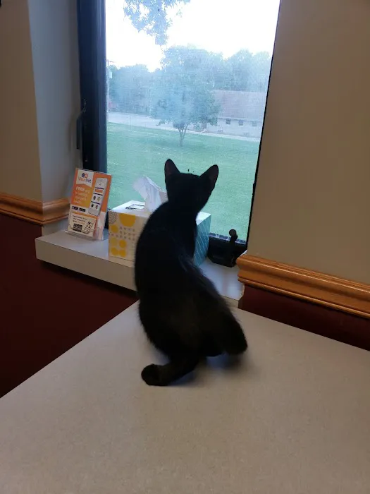 Raytown-Gregory Animal Health Center Picture 8