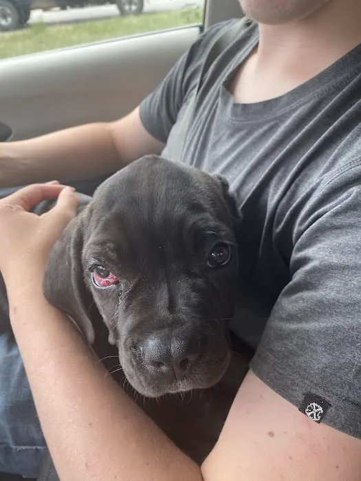 Raytown Animal Hospital Picture 1