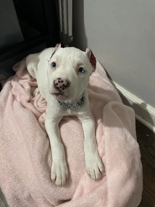 Raytown Animal Hospital Picture 2