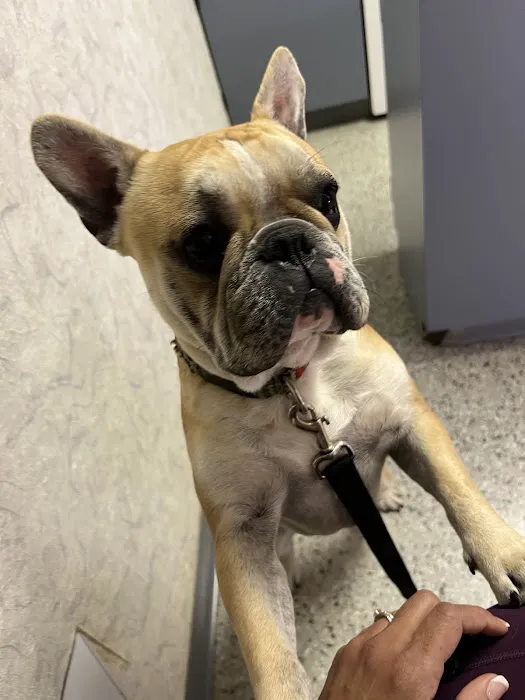 Raytown Animal Hospital Picture 6