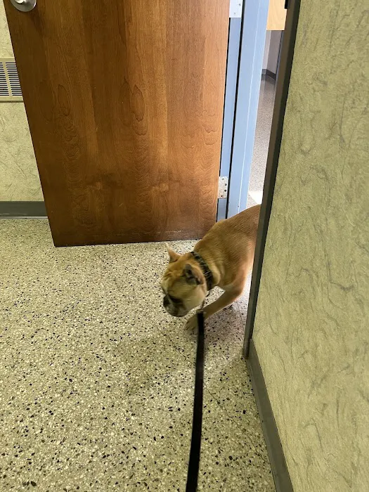 Raytown Animal Hospital Picture 8