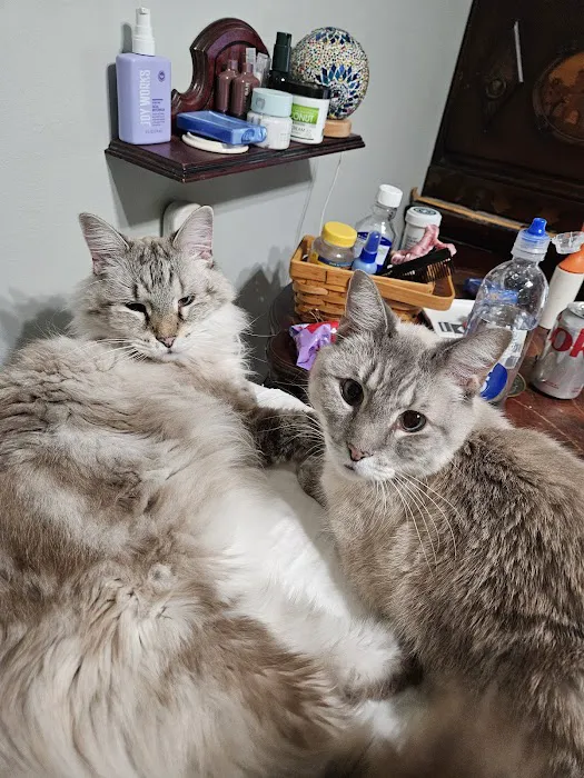 Raytown Animal Hospital Picture 7