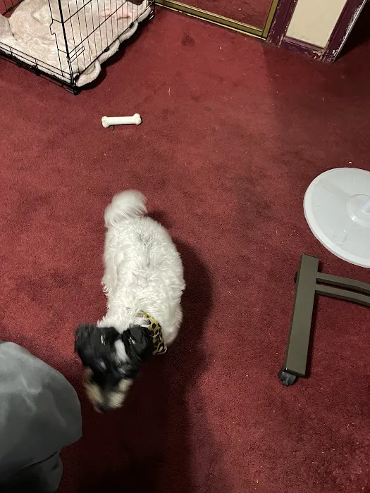 Raytown Animal Hospital Picture 9