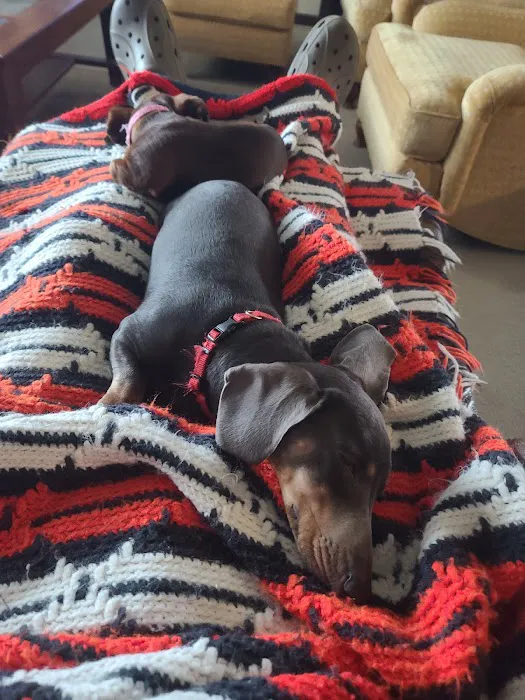 Markway Animal Care Center Picture 1