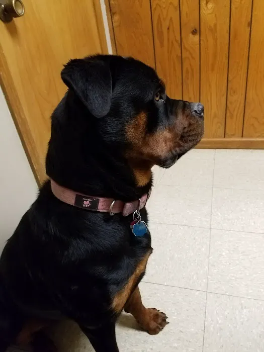 Golden Valley Animal Clinic Picture 2