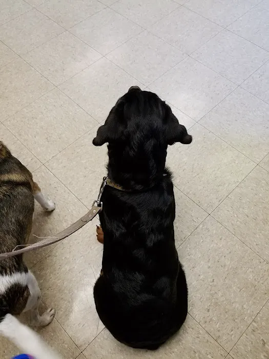 Golden Valley Animal Clinic Picture 1