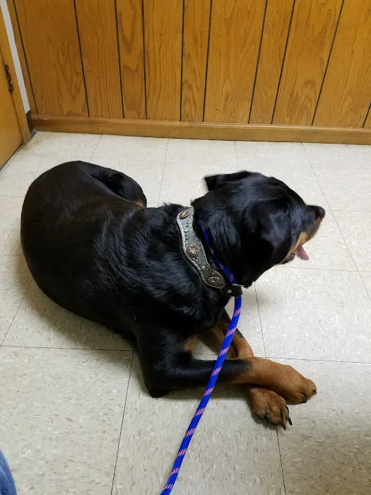 Golden Valley Animal Clinic Picture 3